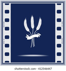 Wheat sign icons, vector illustration. Flat design style