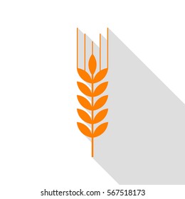 Wheat sign illustration. Orange icon with flat style shadow path.