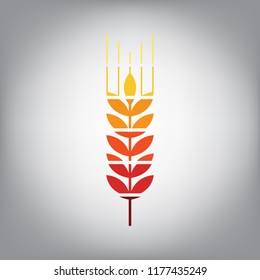 Wheat sign illustration. Spike. Spica. Vector. Horizontally sliced icon with colors from sunny gradient in gray background.