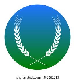 Wheat sign illustration. Spike. Spica. Vector. White icon in bluish circle on white background. Isolated.