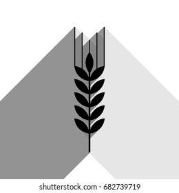 Wheat sign illustration. Spike. Spica. Vector. Black icon with two flat gray shadows on white background.