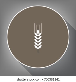 Wheat sign illustration. Spike. Spica. Vector. White icon on brown circle with white contour and long shadow at gray background. Like top view on postament.