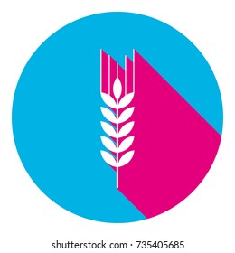 Wheat sign illustration. Spike. Spica. Vector. Flat white icon with mexican pink shadow inside sky blue(S and G) circle at white background. Isolated. Trend colors in 2017.