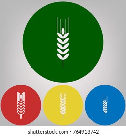 Wheat sign illustration. Spike. Spica. Vector. 4 white styles of icon at 4 colored circles on light gray background.