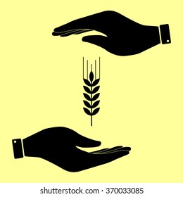 Wheat sign. Save or protect symbol by hands.