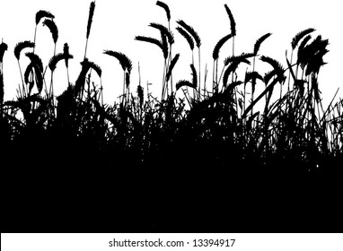 Corn Field Silhouette Images, Stock Photos & Vectors | Shutterstock