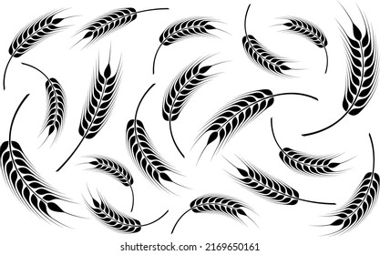  Wheat silhouette. Agricultural background template. Organic wheat, bread agriculture and natural eat, rice isolated on white background. Vector illustration