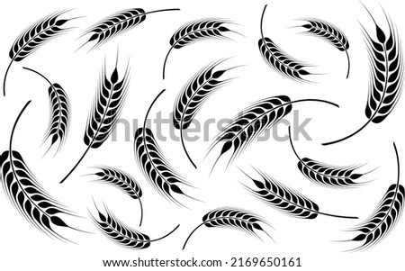  Wheat silhouette. Agricultural background template. Organic wheat, bread agriculture and natural eat, rice isolated on white background. Vector illustration