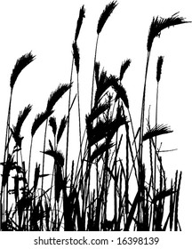 Weizensilhouette - Gestaltungselement