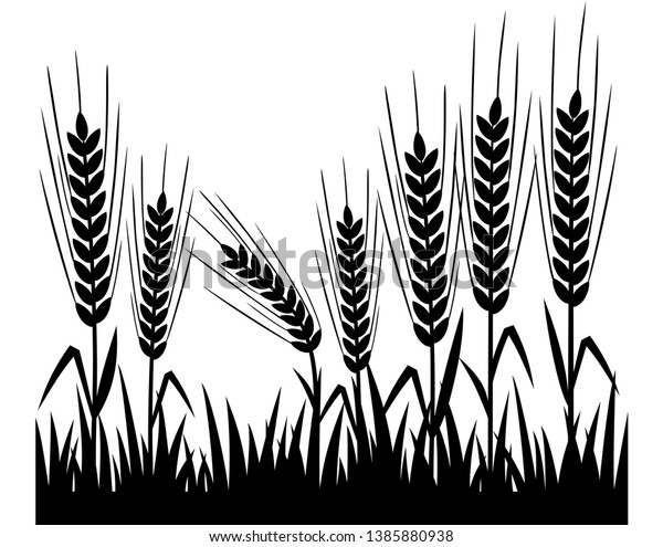 Wheat Silhouette Wheat Field Natural Vector Stock Vector (Royalty Free ...