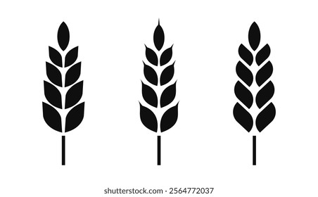 Wheat silhouette set. Wheat icon vector. Wheat symbol. Cereal grains for making bread