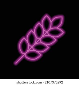 Icono simple de trigo. Diseño plano. Neón morado sobre fondo negro.ai