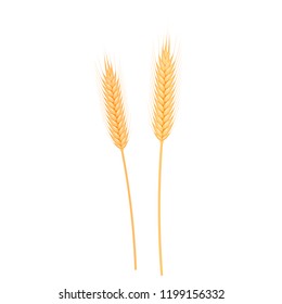 Wheat spike. Autumn vector object isolated on white background