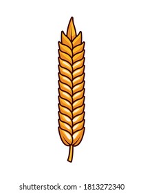 wheat spike beer isolated icon vector illustration design