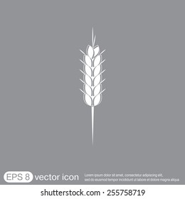 wheat spike ears icon