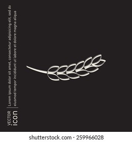 wheat spike ears icon
