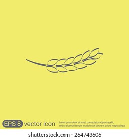 wheat spike ears icon