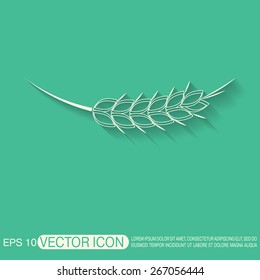 wheat spike ears icon
