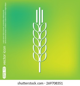 wheat spike ears icon