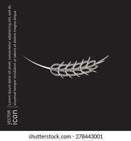 wheat spike ears icon