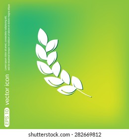 wheat spike ears icon