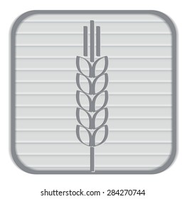 wheat spike ears icon