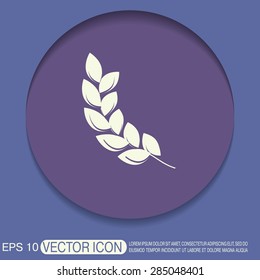 wheat spike ears icon