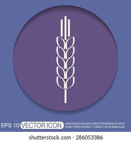 wheat spike ears icon