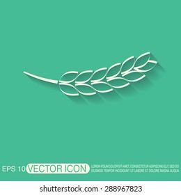 wheat spike ears icon