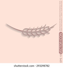 wheat spike ears icon