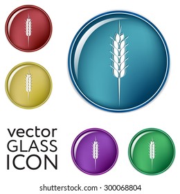 wheat spike ears icon
