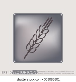 wheat spike ears icon