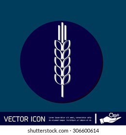 wheat spike ears icon