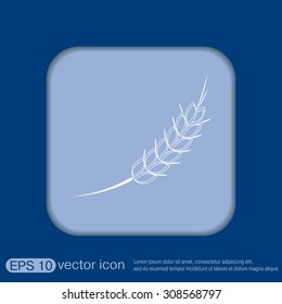 wheat spike ears icon
