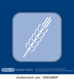 wheat spike ears icon