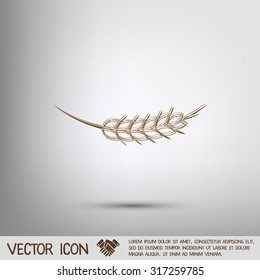 wheat spike ears icon