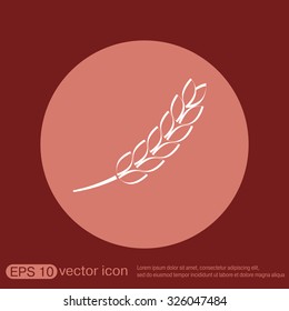 wheat spike ears icon
