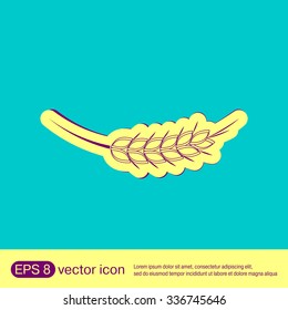 wheat spike ears icon