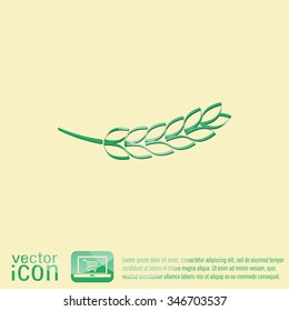 wheat spike ears icon