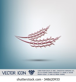 wheat spike ears icon