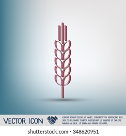 wheat spike ears icon