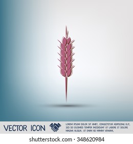 wheat spike ears icon