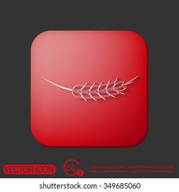 wheat spike ears icon