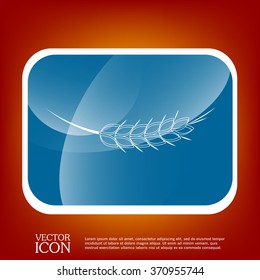 wheat spike ears icon