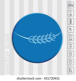 wheat spike ears icon