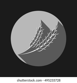 wheat spike ears icon