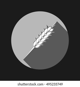 wheat spike ears icon