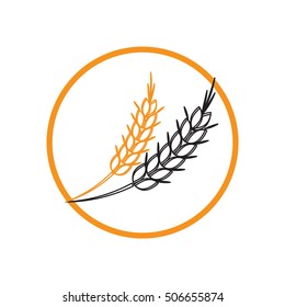 wheat spike ears icon