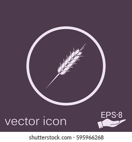 wheat spike ears icon