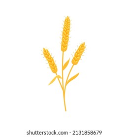 Wheat spike with grain icon isolated on white background. Gold rye ear agriculture faeming plant. Flat design cartoon style vector illutration.